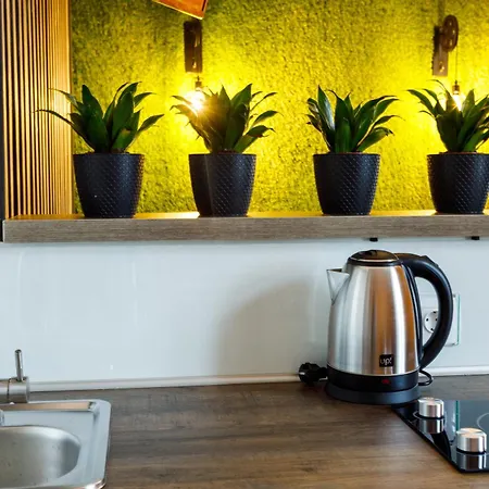 Apartment Art Loft Lviv