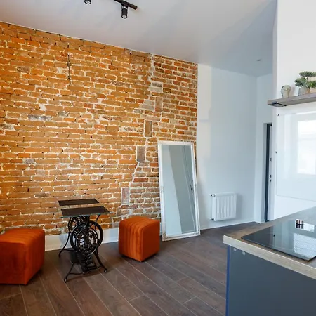 Art Loft Apartment Lviv