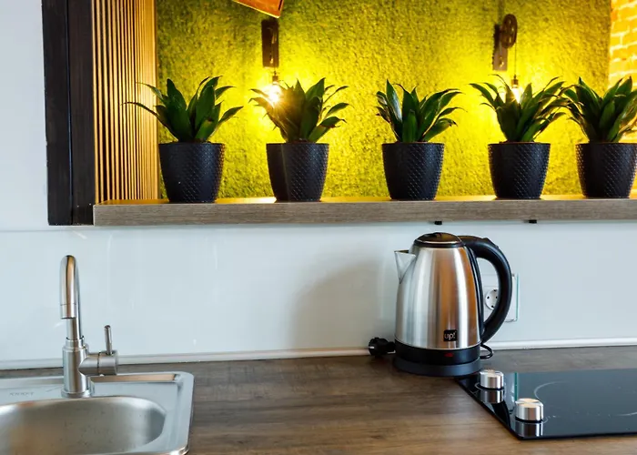 Apartamento Art Loft Leópolis